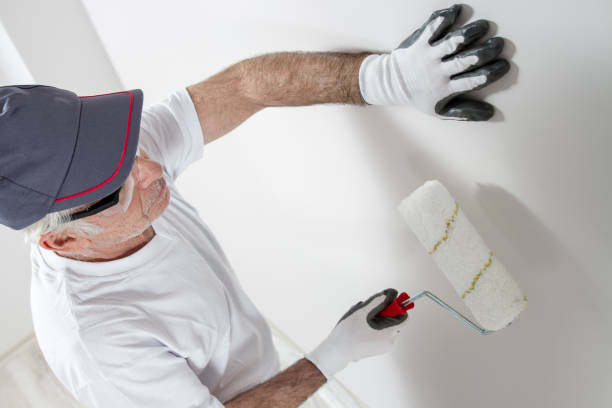 Best Mold Odor Removal Services  in Pawnee, IL