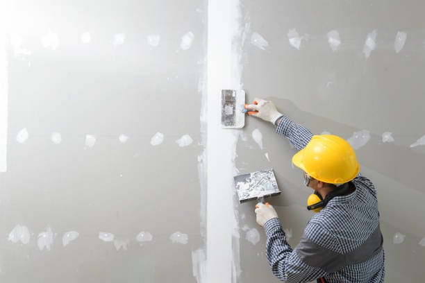 Best Real Estate Mold Inspection  in Pawnee, IL