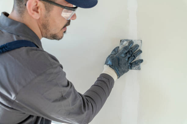 Trusted Pawnee, IL Mold Removal Experts