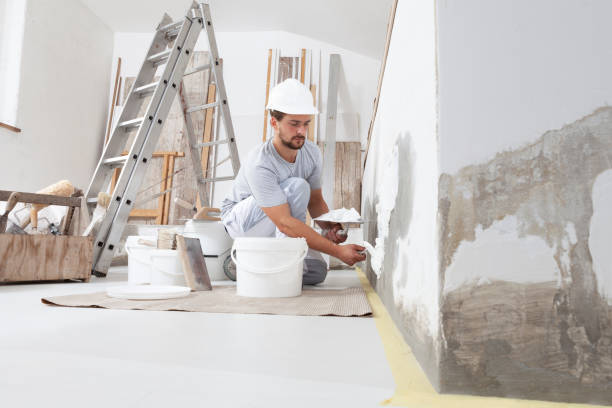 Best Water Damage & Mold Remediation  in Pawnee, IL