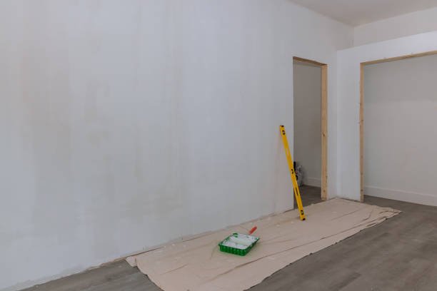 Best Basement Mold Removal  in Pawnee, IL