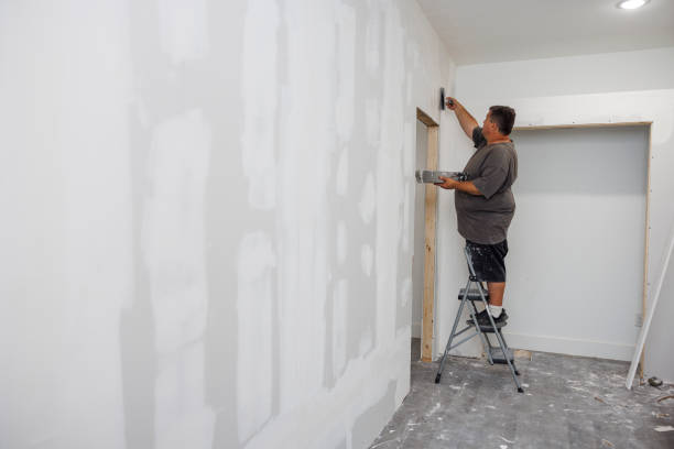 Best Environmental Consulting for Mold Prevention  in Pawnee, IL