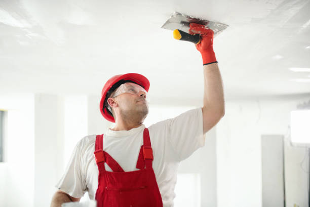 Best Dehumidification Services  in Pawnee, IL