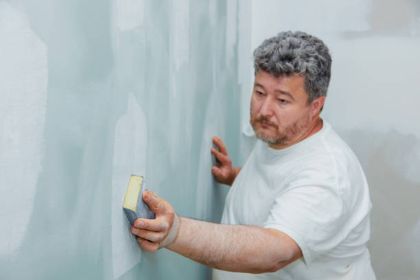 Mold Remediation for Vacation Homes in Pawnee, IL