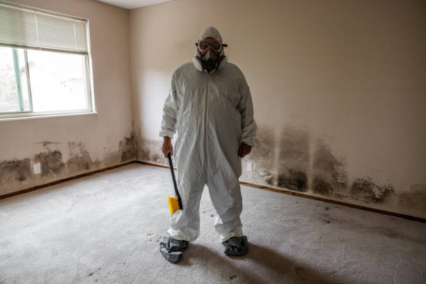 Best Mold Prevention Services  in Pawnee, IL