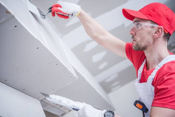 Best Mold Removal for HVAC Installations  in Pawnee, IL