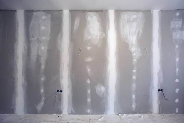 Best Mold Documentation for Insurance Claims  in Pawnee, IL